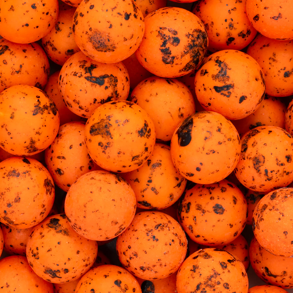 PumpkinCrunch - Image 3